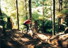 india himalayan biking tours,himalaya bike tours,himalayan bike tours,india garhwal kumaon bike tours,india biking tours,india himalaya biking tours,india bike budget tours