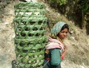 Photo by Frank & Klaus Germany,trekking in india, trekking uttaranchal, trekking in uttaranchal, uttaranchal trekking, Uttaranchal hotels guide, uttaranchal travel, trekking in indian himalayas, trekking in uttaranchal himalayas, trekking in uttaranchal -guide, trekking in uttaranchal -travel,  uttarnchal tourism guide, trekking in uttaranchal guide, trekking in uttaranchal info, tourism in uttaranchal,  uttaranchal tourism, garhwal himalayas, trekking in garhwal, trekking in garhwal himalayas, trekking in garhwal travel guide, gangotri, source of the ganges, trekking to source  of  the ganges, trekking valley of flowers