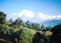 himalayan glacier tours,india glacier tours,glacier in himalayas,glacier in indian himalayas,garhwal glacier tours,pindari glacier tours,glaciers in india himalaya,tours to indian himalayan glacier,glacier trek,glacier tours himalaya